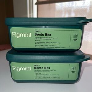 Bundle of two Figment Green Snack Bento Box